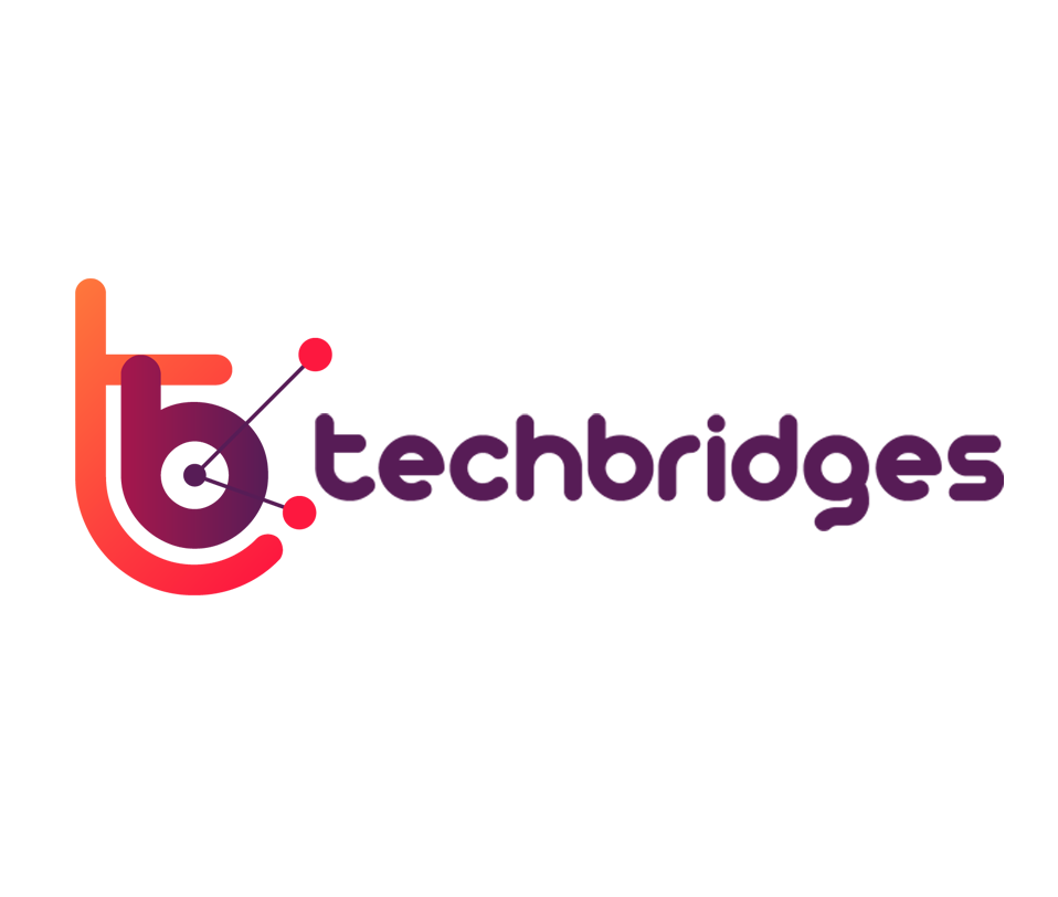 Tech Bridges Africa